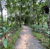 Angkor's Blooming Haven: Nature's Delight