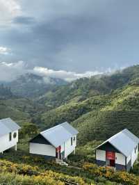 ที่พักสไตล์ Glamping มีห้องน้ำในตัว