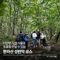 다양한 식생식물과 동물을 만날 수 있는 ⛰️ 한라산 성판악 코스