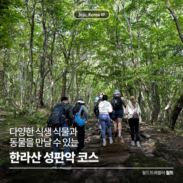 다양한 식생식물과 동물을 만날 수 있는 ⛰️ 한라산 성판악 코스