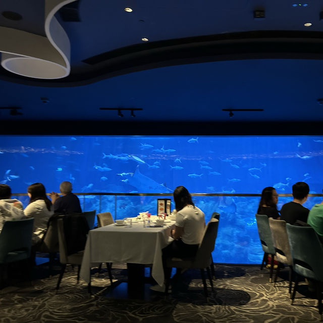 香港親子遊 [海洋公園必食特色餐廳～海龍王餐廳］