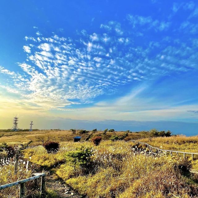 高ボッチ高原