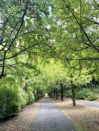 🌸🏞️🍵昭和紀念公園～自然的日式寶地🌸🏞️🍵