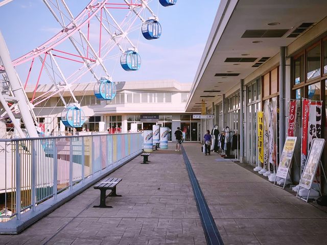 Discover a day in Rinku Premium Outlets 