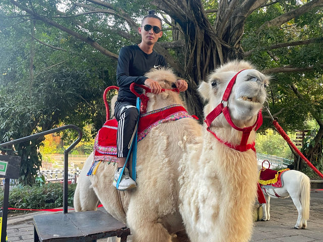 好玩的深圳野生動物園