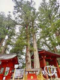 【日光】強力パワースポット　日光二荒山神社