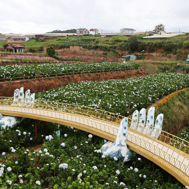   🪻Garden Hydrangeas Dalat ไม่มาถือว่าพลาดมาก