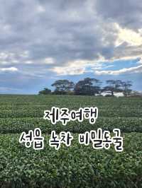 📸 동굴 인생샷을 건질 수 있는 제주명소, "성읍 녹차 비밀동굴"