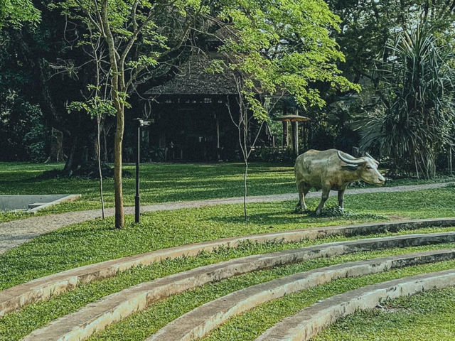 ที่พักธรรมชาติ กลางโรงบ่มยาสูบ