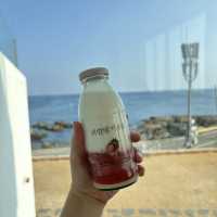 통창 포토존이 있는 감성카페 포항 [어스피스]🌊