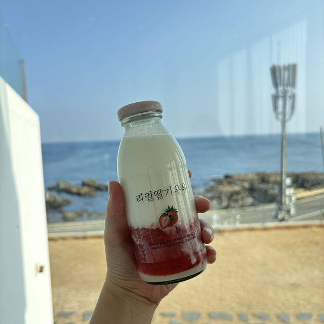 통창 포토존이 있는 감성카페 포항 [어스피스]🌊