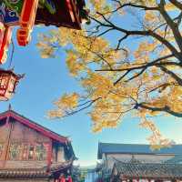 金燦燦的麗江古城