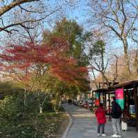 Romantic place await at dusk @ West lake, Hangzhou 