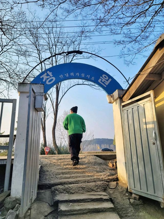 충남 부여 식도락여행 전국구 막국수맛집🔥