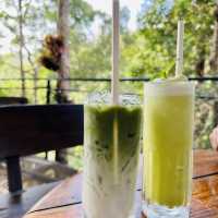 เชสท์นัท ฮิลล์ อีโค่ รีสอร์ท & คาเฟ่
