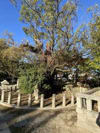 歴史ある洲本八幡神社