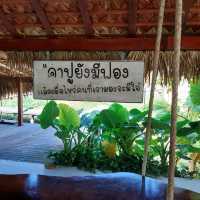 แล้วแต่ปุ๊คาเฟ่ พิกัด ทุ่งหว้า สตูล