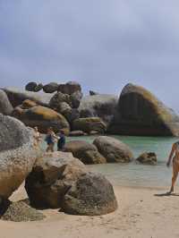 Boulders Beach : Simon's Town หาดแพนกวิ้น