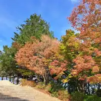 釜山🇰🇷悠遊慢步調享受風景與美食的城市