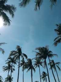 AWA Koh chang 🌊🐟🌴