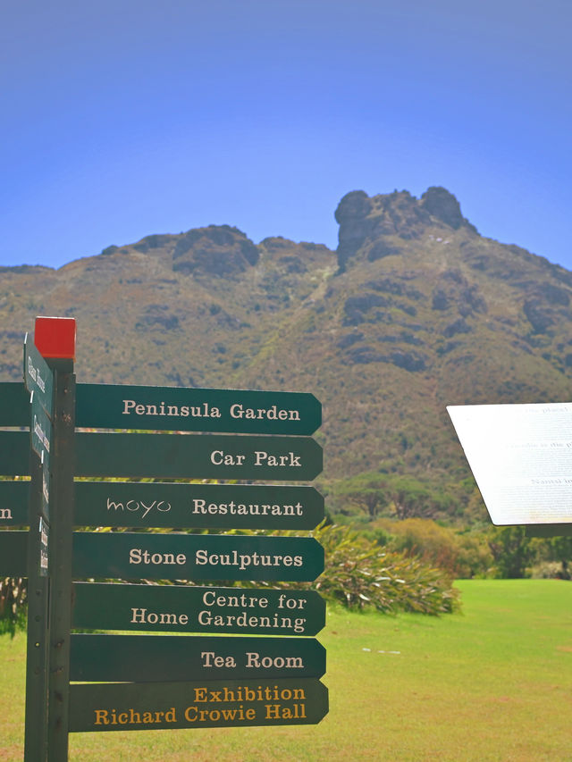 Kirstenbosch National Botanical ปลูกได้ที่เดียว