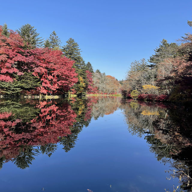 (群馬県)軽井沢　雲場池