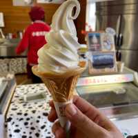 Koiwai farm; try their milk!