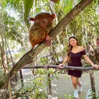 Tarsier and Chocolate Hills 