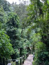 Benang Stokel and Benang Kelambu Waterfall