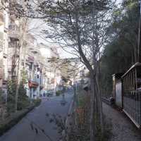 深圳一日遊：坐上童話森林小火車 