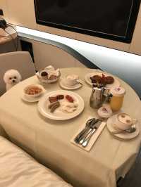 令人感到賓至如歸的寵物友善酒店-香港海洋公園萬豪酒店