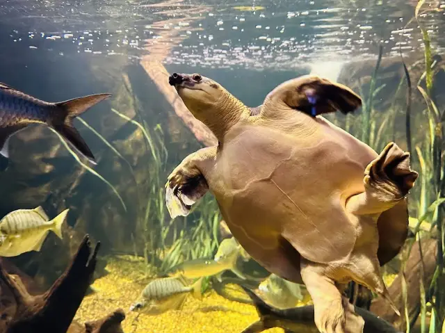 SEA LIFE Sydney Aquarium