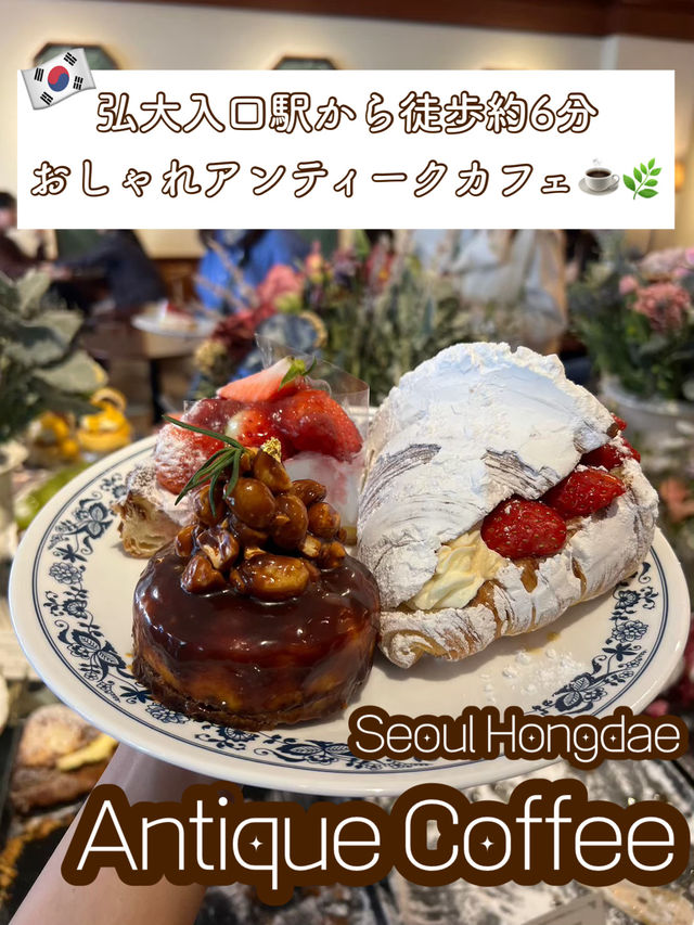 【ソウル / 弘大カフェ】 Antique Coffee ☕️🌿