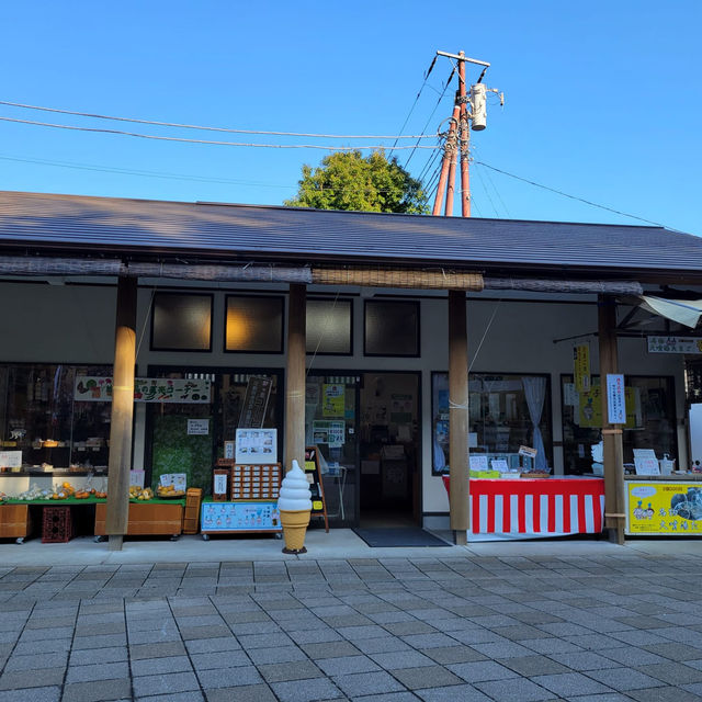 【日本】峰溫泉大噴湯公園，全亞洲中最大