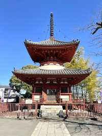 【喜多院/埼玉県】徳川家ゆかりの寺院で少し早い桜詣