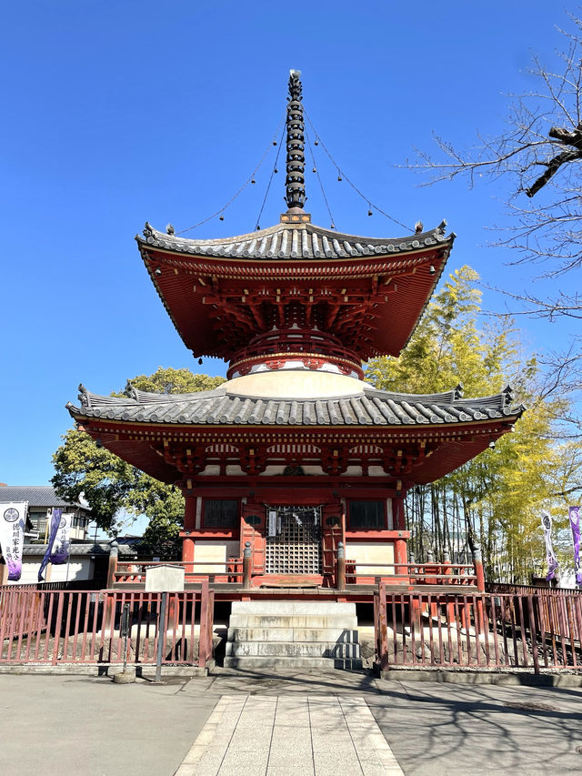 【喜多院/埼玉県】徳川家ゆかりの寺院で少し早い桜詣