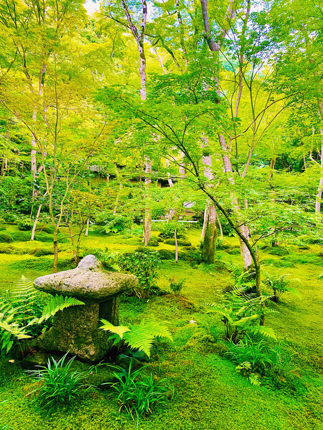 【日本京都】嵐山祇王寺：當天園林今天已換上滿地青苔