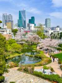 都会的な風景と桜のコラボが美しい、東京ミッドタウンと六本木ヒルズ