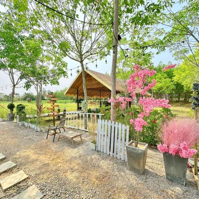 นานากลางทุ่ง @บ้านน้ำก่ำ