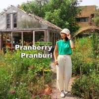 Pranberry หาร์มคาเฟ่สุดคิวท์แห่งปราณบุรี