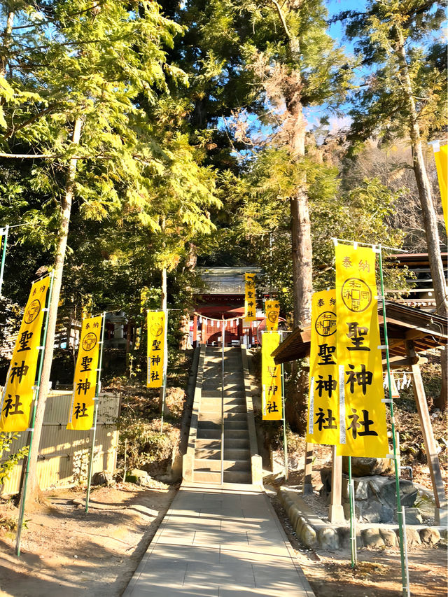 【聖神社/埼玉県】銭神様見守る金運アップご利益の神社
