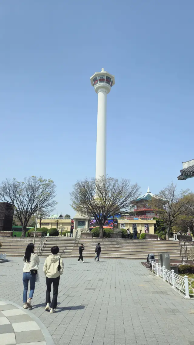 The Best View in Busan 