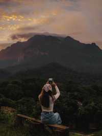 ป่าโป่งดอย โฮมสเตย์เชียงดาว 🏕️⛰️