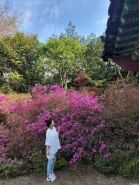 4월 전남에서 가장 핫한 봄여행코스🌸