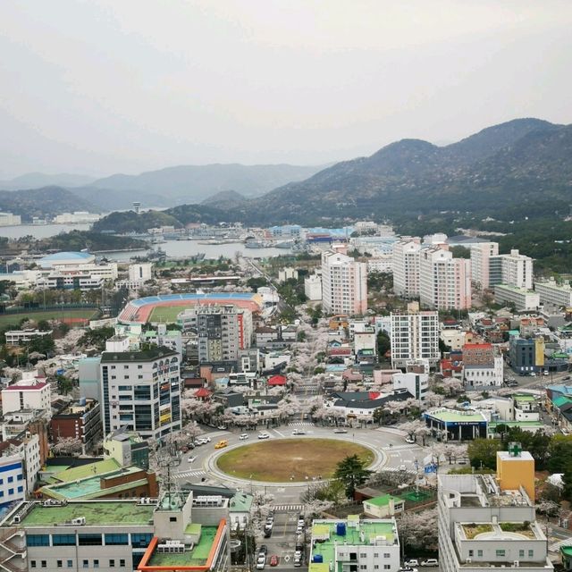 Lovely cherry blossom town for a day visit from Busan