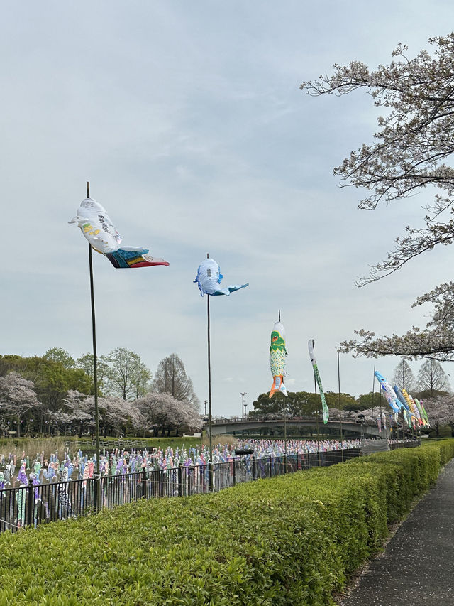 📍鶴生田川/群馬