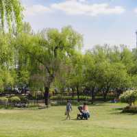 Seoul’s Green Oasis