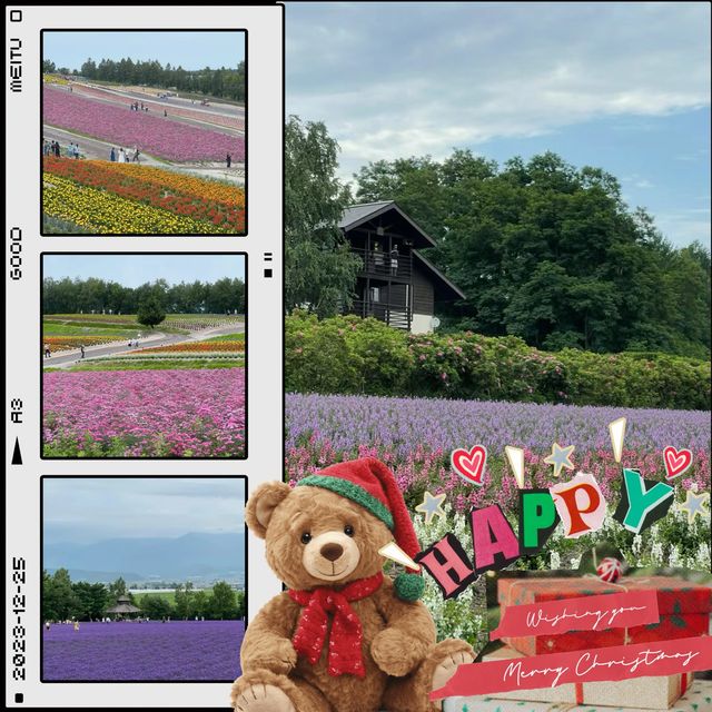 崇明薰衣草主題公園：紫色夢境