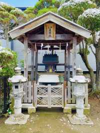 【御釜神社/宮城県】御神体の「神竈」がある神社