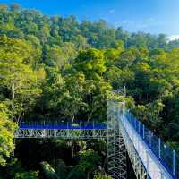 FRIM Skywalk